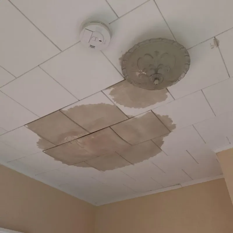 Ceiling Water Damage Repair in Crestwood, MO