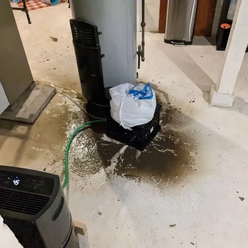 Sewage Backup Cleanup Service in Crestwood, MO